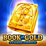 Book Of Gold: Symbol Choice